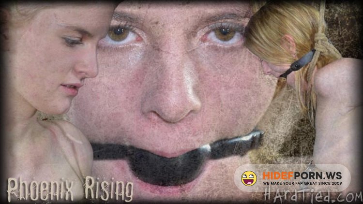 hardtied.com - Phoenix Rose - Rising Phoenix [HD 720p]