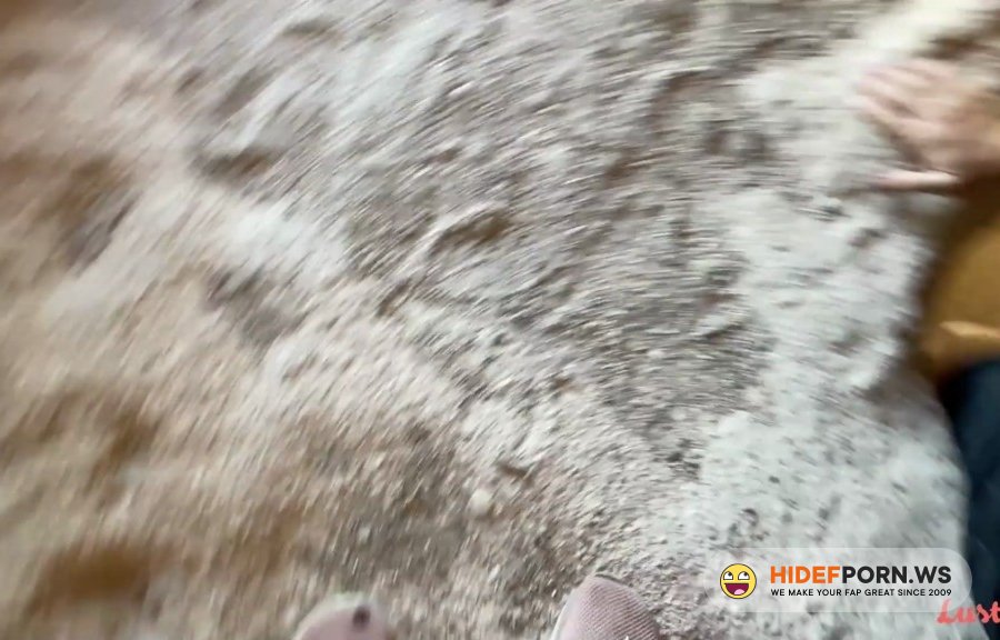 Lustery - Joana, Lee The - Trip Of A Lifetime [2022/FullHD]