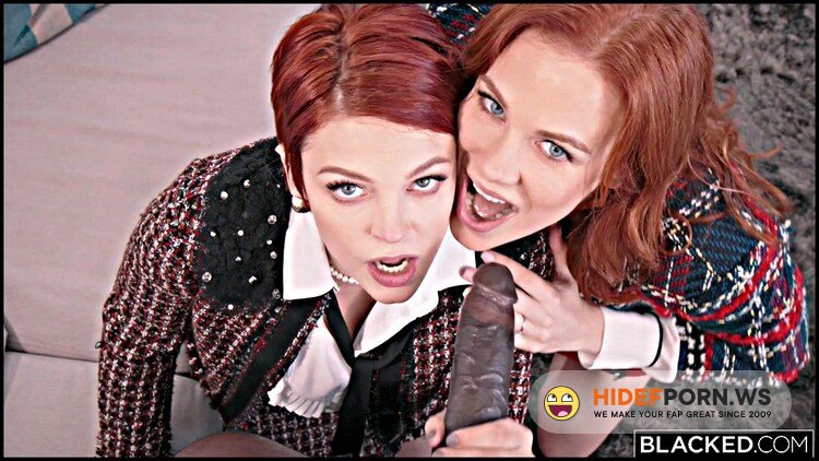 Blacked.com - Maitland Ward, Bree Daniels - We All Do It, Too [FullHD 1080p]