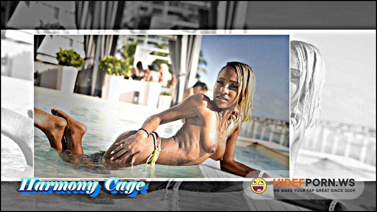 Donxxxprincehardcore.com/Clips4Sale.com/ManyVids.com - Helena Price, Harmony Cage - Lesbian BBC Orgy [FullHD 1080p]