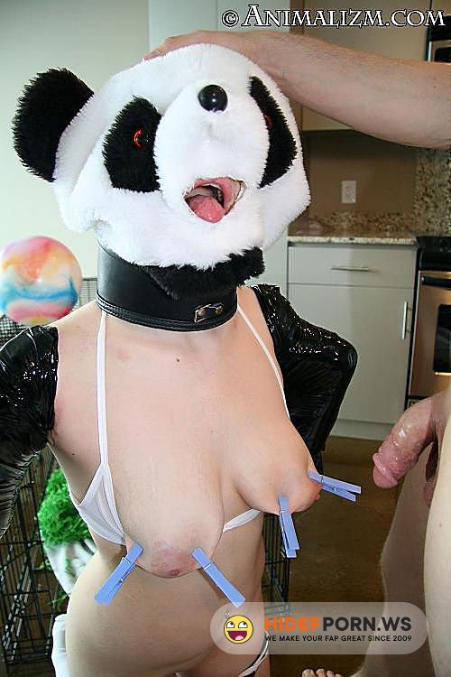Animalizm.com - Panda - Panda [HD 720p]