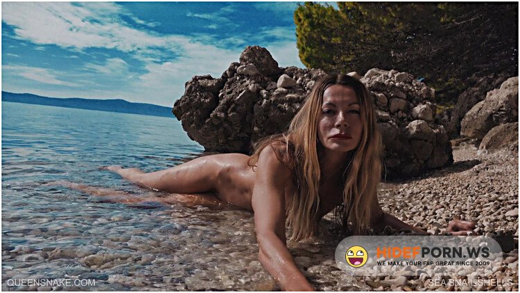 Queensnake - Sea Snail Shells - 2022.10.22 [FullHD 1080p]