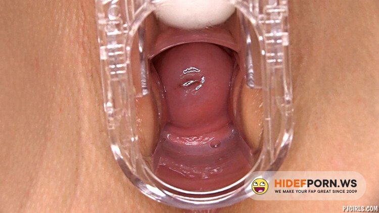 PJGirls - Tracy Lindsay - Quickie [Full HD 1080p]