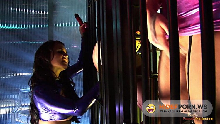Clips4Sale - Erotic Female Domination - Caged Blondes Get Released By The Brunette For The BDSM Group Sex To Finally Begin [FullHD 1080p]