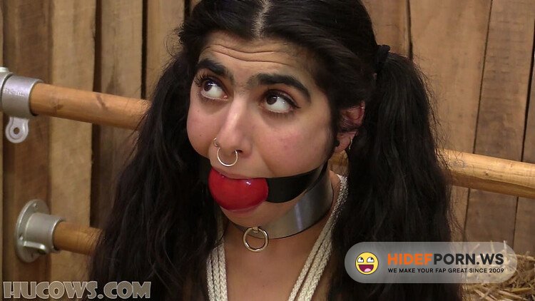 HuCows.com - Aisha - Nipple Enlargement [FullHD 1080p]
