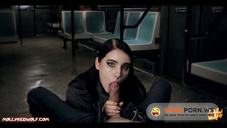 ModelsPorn - Beautiful Stranger Sucked Me In Train - MollyRedWolf [FullHD 1080p]