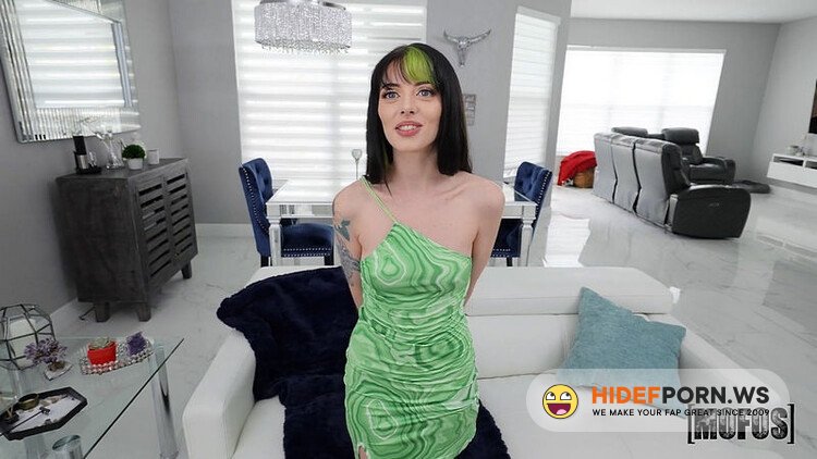 DontBreakMe.com/Mofos.com - Kitty Cam - Kittys In For A Big Surprise [FullHD 1080p]