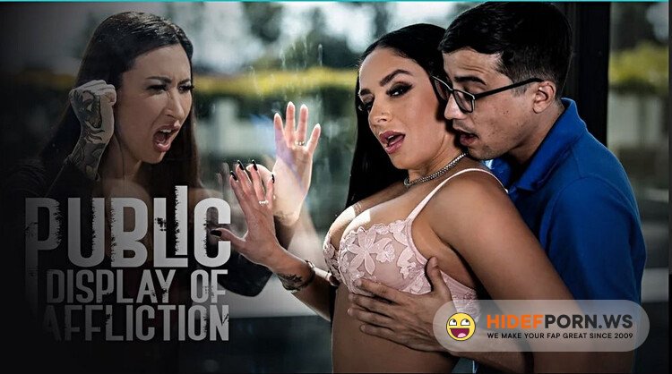PureTaboo - Sheena Ryder -  Public Display Of Affliction [Full HD 1080p]