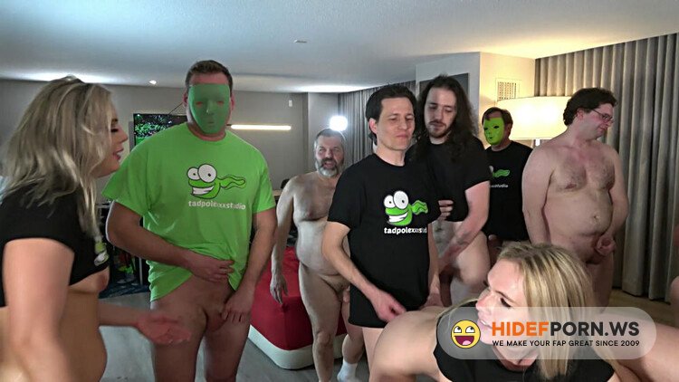 TadpoleXStudio - Large Fucking Orgy Gonzo Style Camera [FullHD 1080p]