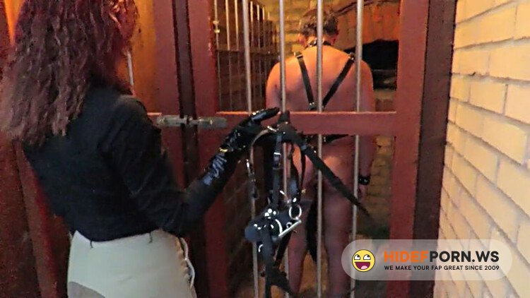 Clips4Sale - Sulkyride [SD 540p]