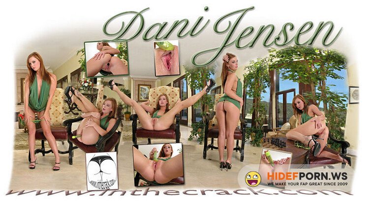 InTheCrack.com - Dani Jensen: #358 [FullHD 1080p]